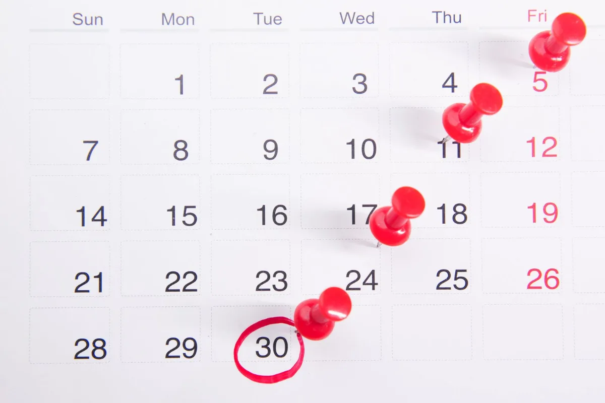 Close-up of a wall calendar with red push pins marking specific dates