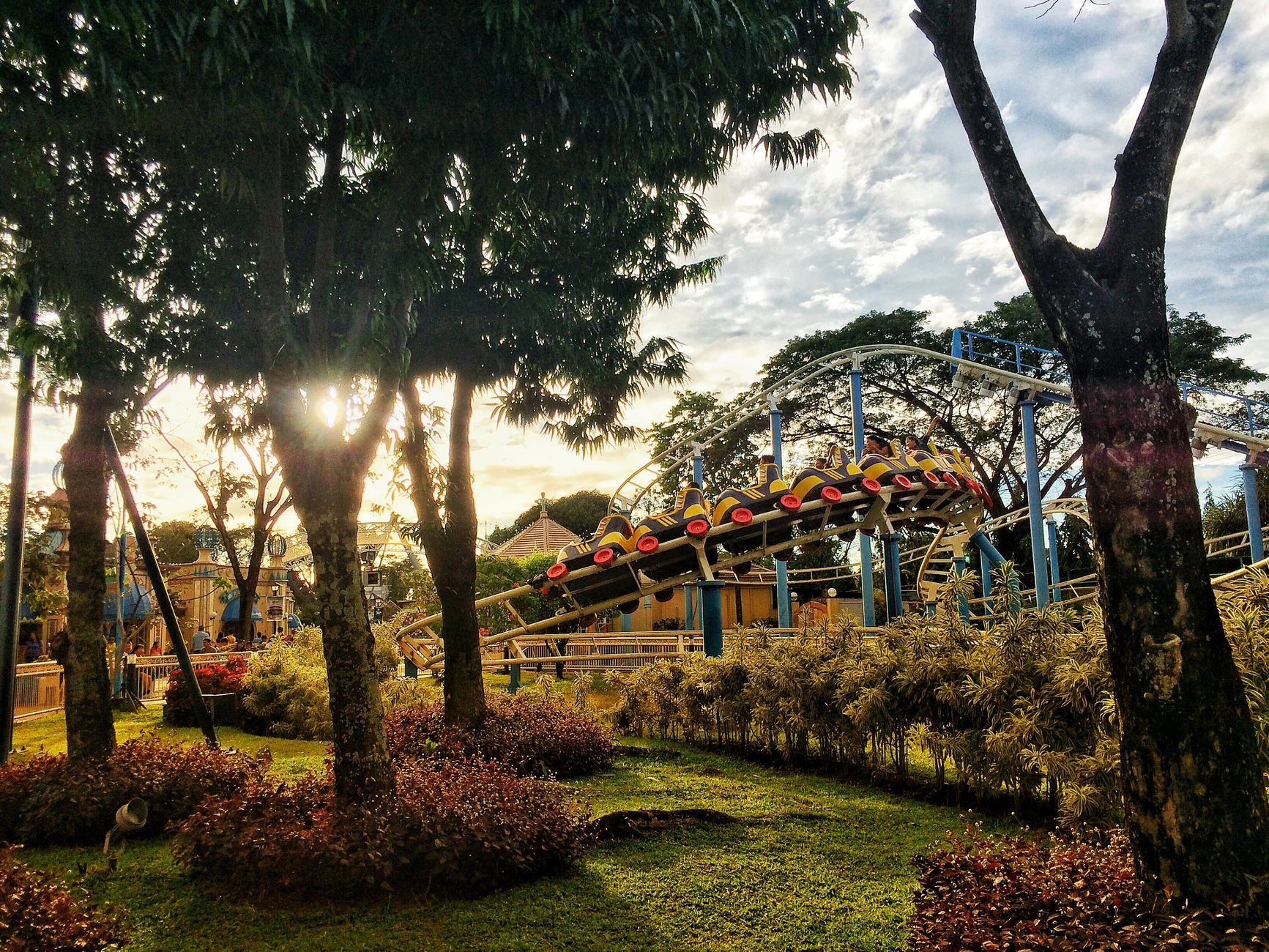 Amusement park roller coaster track rising above trees under a cloudy sky